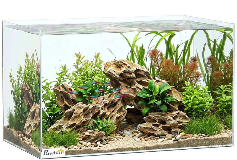 Aquarium - Gehard glas - 50 x 30 x 30 cm by PawHut in Transparent – product photo