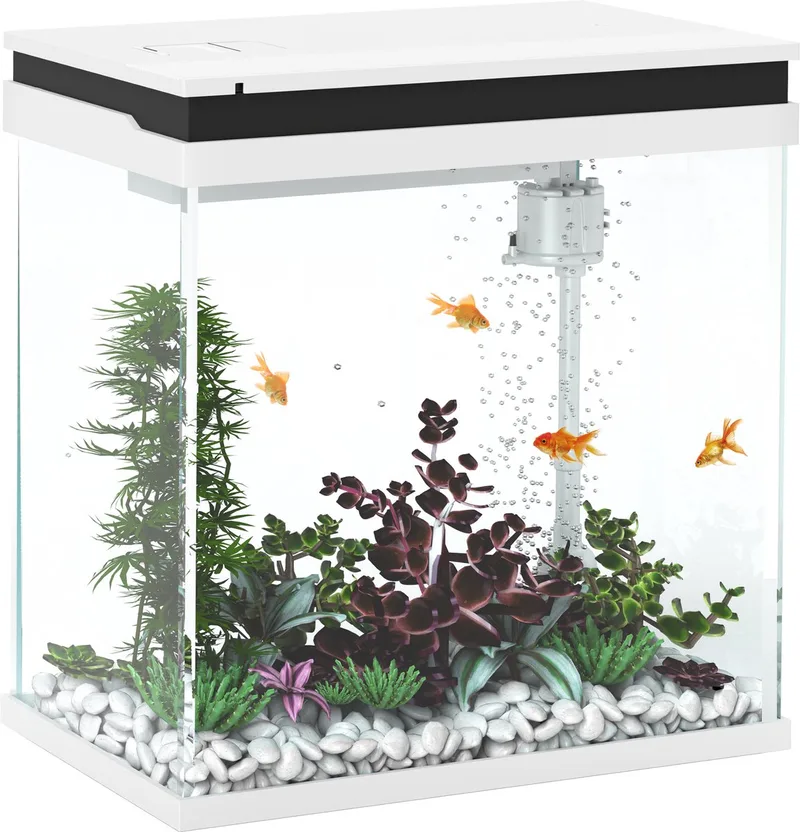 Aquarium - Glas - 30x20x33cm - Wit de PawHut en Noir – photo produit