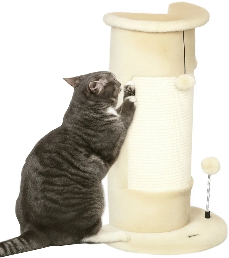 Ecke Kratzstamm, 58cm Kratzsäule aus Sisal, Kratzbaum für Katzen, kleiner Katzenkratzbaum mit Kratzball, Katzenmöbel für Indoor von PawHut in Cremeweiß – Produktfoto 1 von 5