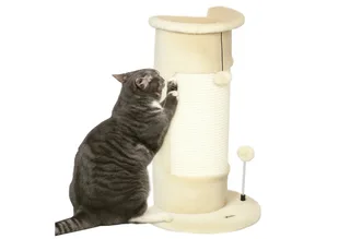Ecke Kratzstamm, 58cm Kratzsäule aus Sisal, Kratzbaum für Katzen, kleiner Katzenkratzbaum mit Kratzball, Katzenmöbel für Indoor von PawHut in Cremeweiß – Produktfoto 2 von 5