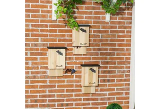 Fledermauskasten 3er-Set, Fledermaushaus, Nistkasten für Fledermäuse, Fledermausbox zum Aufhängen für Sommer, Winter, Tannenholz, 25 x 6 x 37,5 cm, Natur von PawHut in Naturholz – Produktfoto 2 von 5