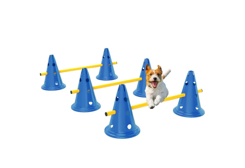 honden agilityset - 3-delig - draagtas - geel de PawHut en Bleu – photo produit 2 sur 5