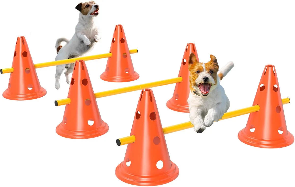 Honden agilityset 3-delig met draagtas - Agilityset hond - Hondentraining - Behendigheidsset - met geel från PawHut i Orange – produktbild