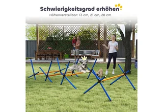 honden agilityset - met hordes - draagtas - meerkleurig by PawHut in Orange – product photo 5 of 5
