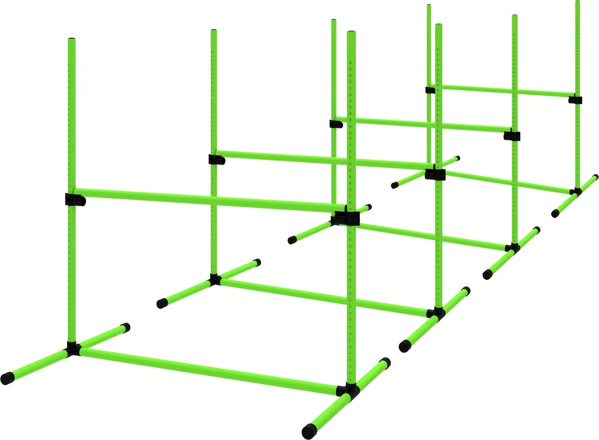 Hondenagility Set met Draagtas - Behendigheidsset Hindernisset voor Honden från PawHut i Grön – produktbild