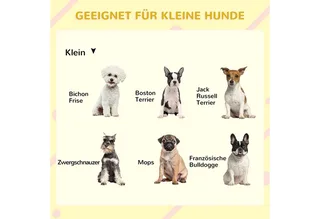 Hondenkennel met terras voor kleinere honden D02-152V00 de PawHut en Orange – photo produit 4 sur 5