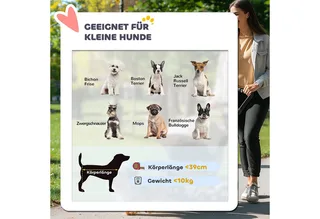 Hundewagen Jogger Hundebuggy klappbar für kleine Hunde & Katzen bis 10 kg Katzenbuggy mit 3 große Gummiräder, Kissen Netzfenstern Aufbewahrungskorb Katzenwagen mit Sicherheitsleinen by PawHut in Grey – product photo 5 of 5