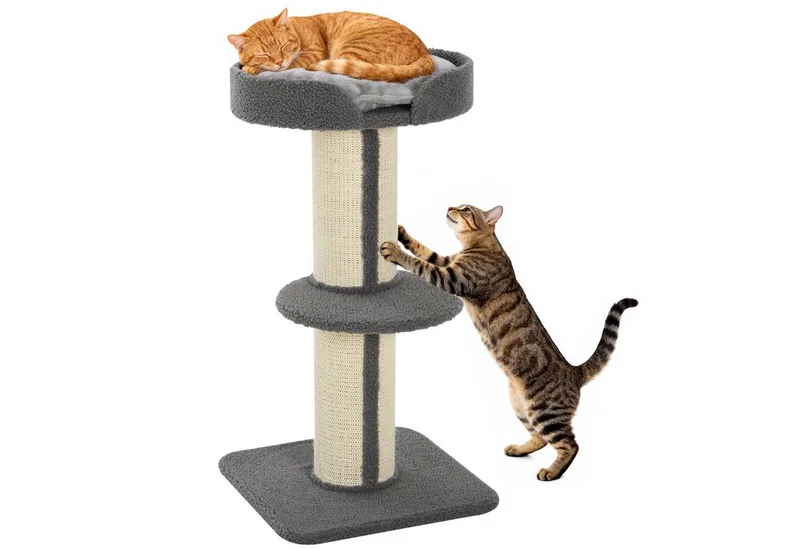 Kattenboom speelboom krabpaal met platform sisal pluche D30-269 de PawHut en Bleu – photo produit 2 sur 5