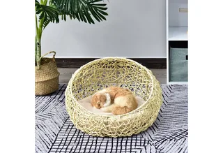 Kattenhuis met kussen, kattenbed, PVC-rotan, D30-247 by PawHut in Beige – product photo 2 of 5
