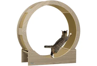 Katzenlaufrad Laufrad für Katzen 91 cm mit Bremse, Kratzbrett, Katzenrad für gesunde Bewegung, Entspannung de PawHut en Walnuss – photo produit 2 sur 5