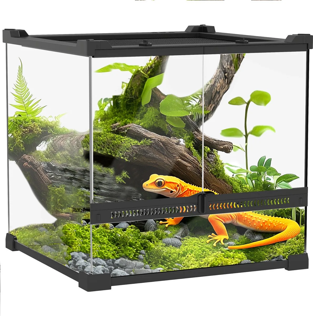 Reptielenbak Gehard glas, staal 30L x 30B x 30H cm de PawHut en Noir – photo produit