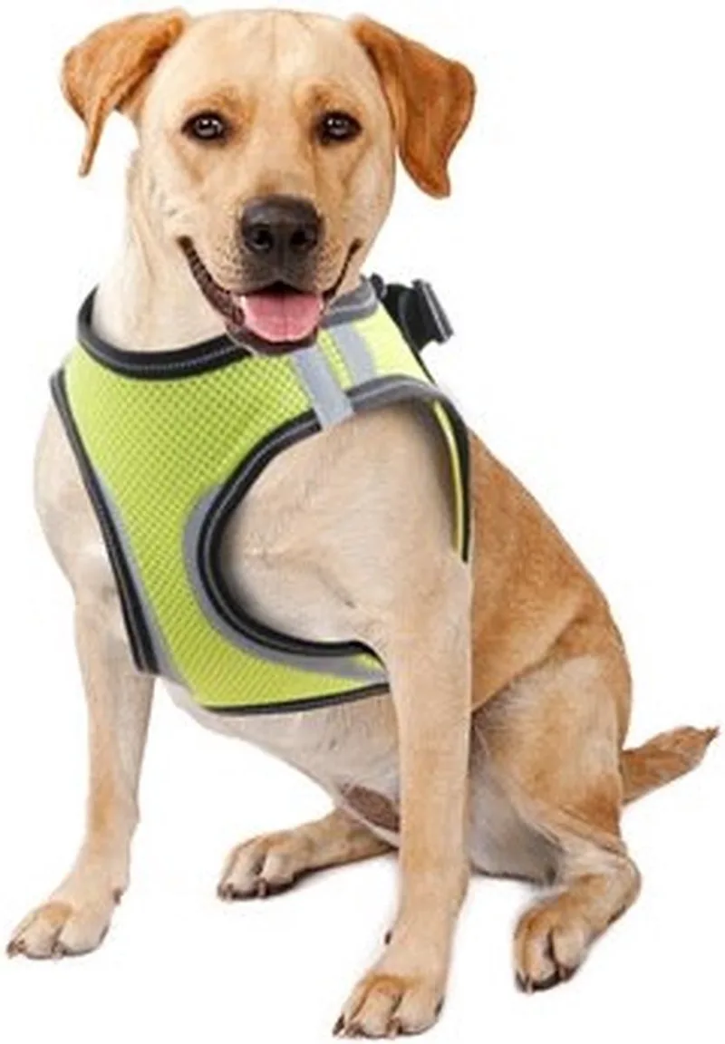 Doggy Safety Harness L de Pawise en Reflex – photo produit