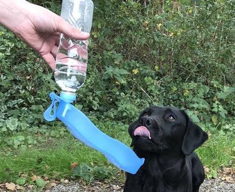 Drinkfles Hond 500 ml von Pawise – Produktfoto