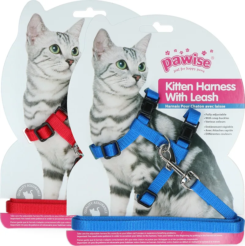 Harness Leash-Red/Blue M by Pawise in Blue – product photo