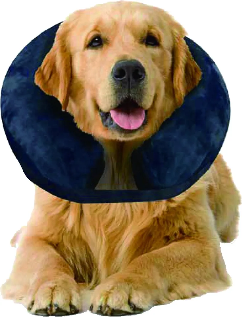 Inflatable Protective Collar maat S by Pawise in Blue – product photo