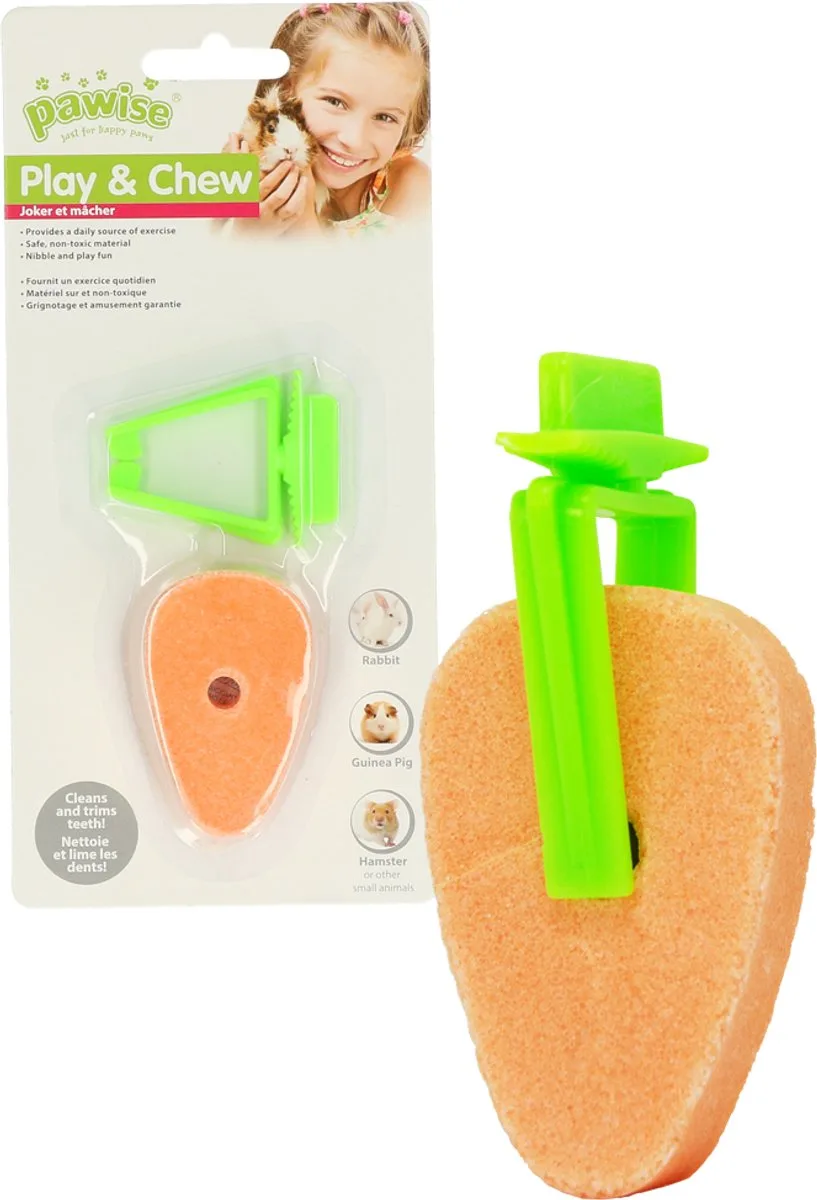 Salt Carrot w/Clip - Wortel - Voor de tanden van Knaagdieren - Konijnen, cavia's, hamsters de Pawise – photo produit