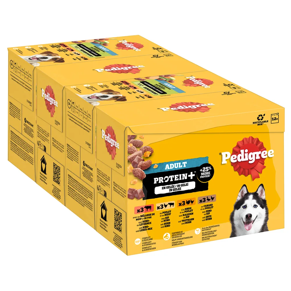 12x85g Pedigree Adult Fresh zakjes Protein Plus in gelei 4 soorten nat hondenvoer by Pedigree – product photo