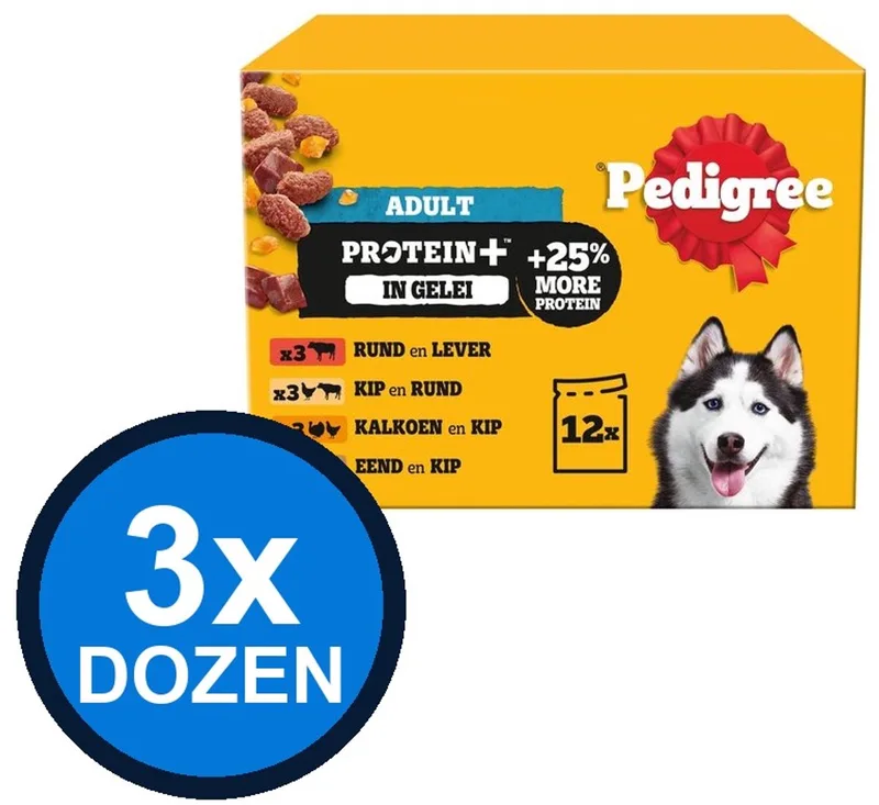 3x Pedigree - Adult Protein+ in Gelei Pouch Multipack - Hondenvoer Natvoer - 12x85g by Pedigree – product photo