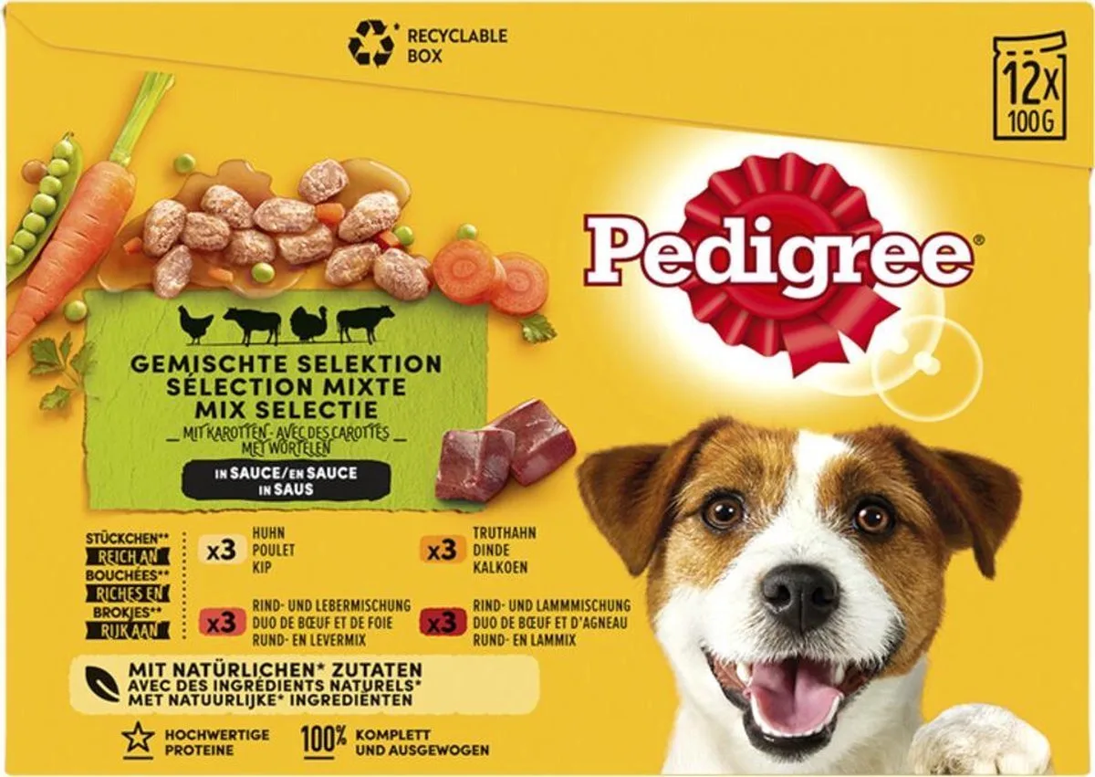 multipack pouch in saus - 1 ST à 4 X 100 GR by Pedigree – product photo