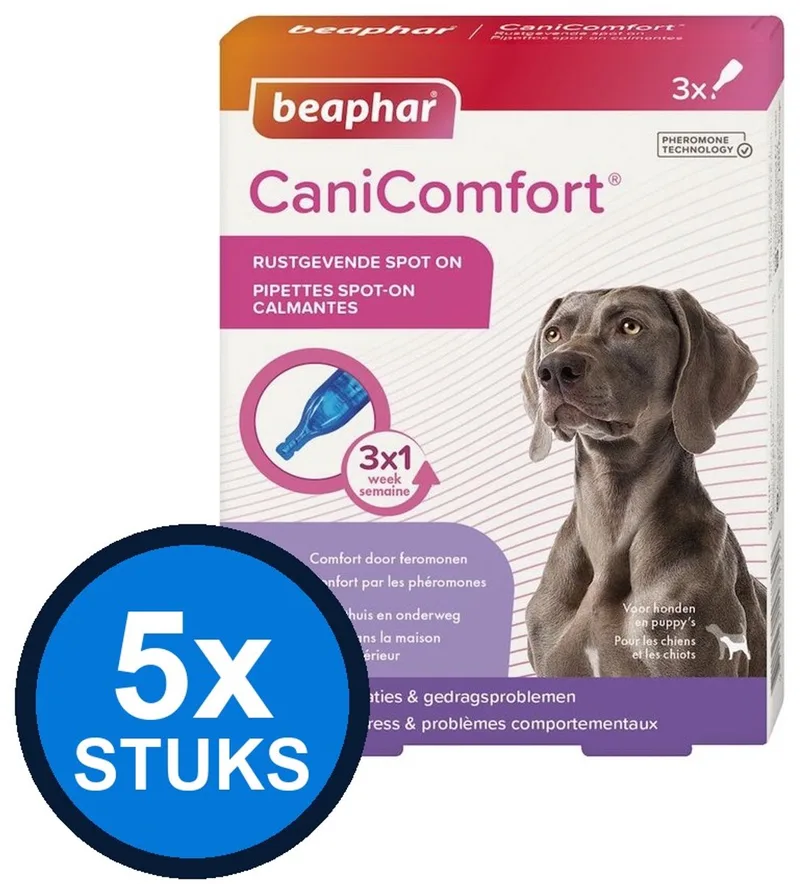 Indoor Adult 1+ Brokjes - Kip - Kattenvoer - 2 x 750g von Perfect Fit – Produktfoto