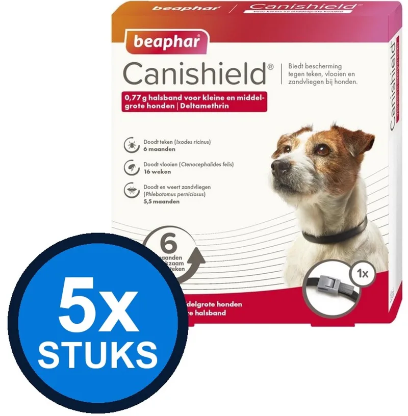 Indoor Adult 1+ Brokjes - Kip - Kattenvoer - 6 x 750g de Perfect Fit – photo produit