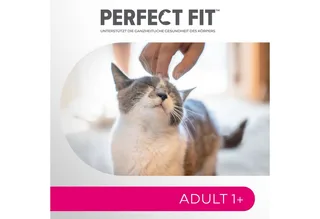 Kattenbrokken - Active Adult - Kip - 7kg by Perfect Fit – product photo 5 of 5