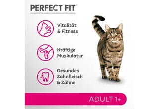 Kattenbrokken - Active Adult - Kip - 7kg by Perfect Fit – product photo 2 of 5
