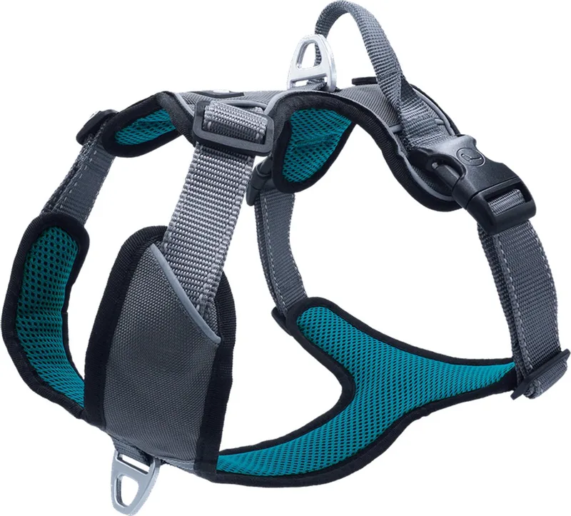 Hondenharnas Outdoor Grijs&Petrol - Hondentuig - M 56-68 Cm by Petlando in Petrol – product photo