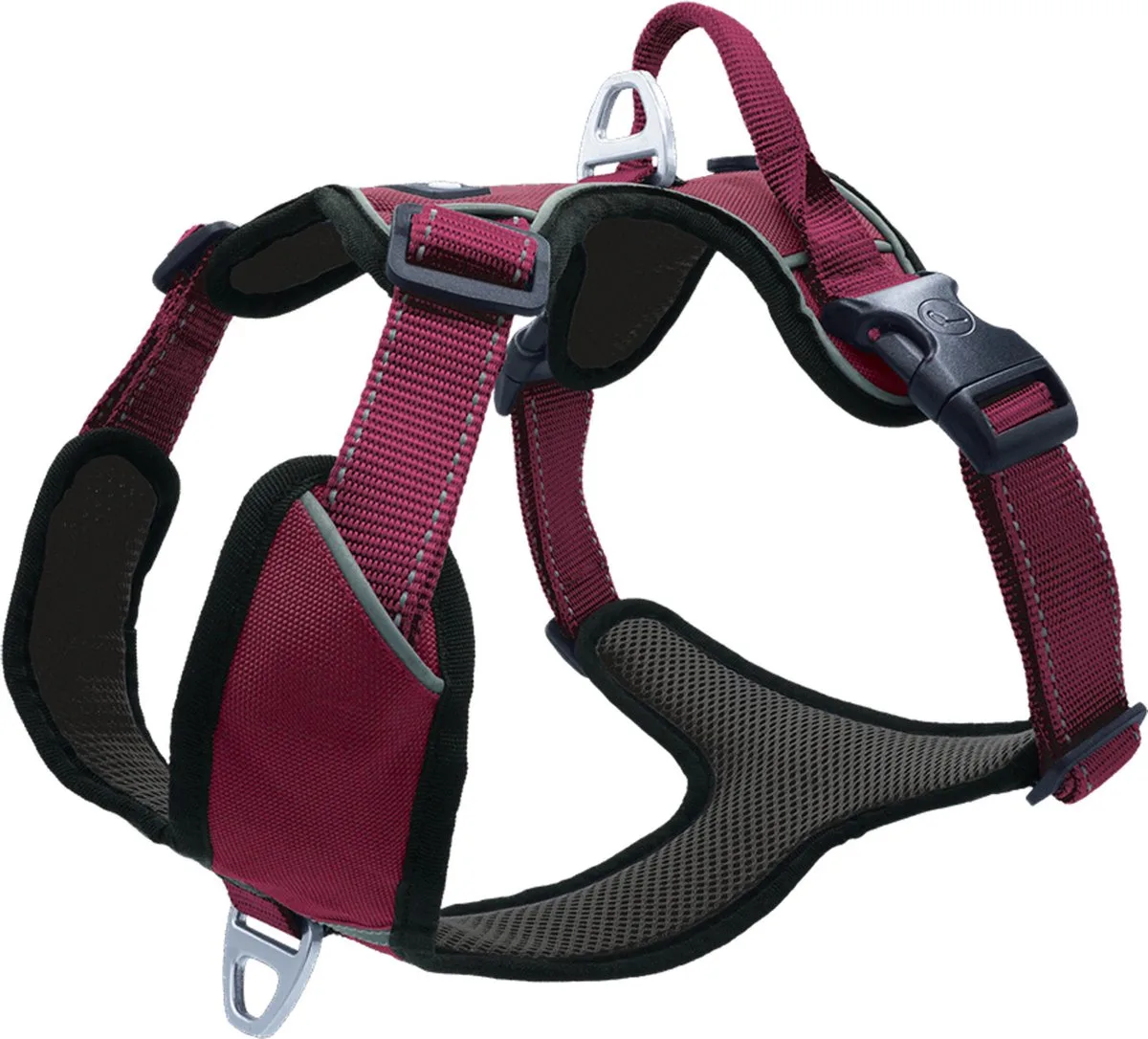 Hondenharnas Outdoor - Hondentuig - 56-68 cm by Petlando in Berry – product photo