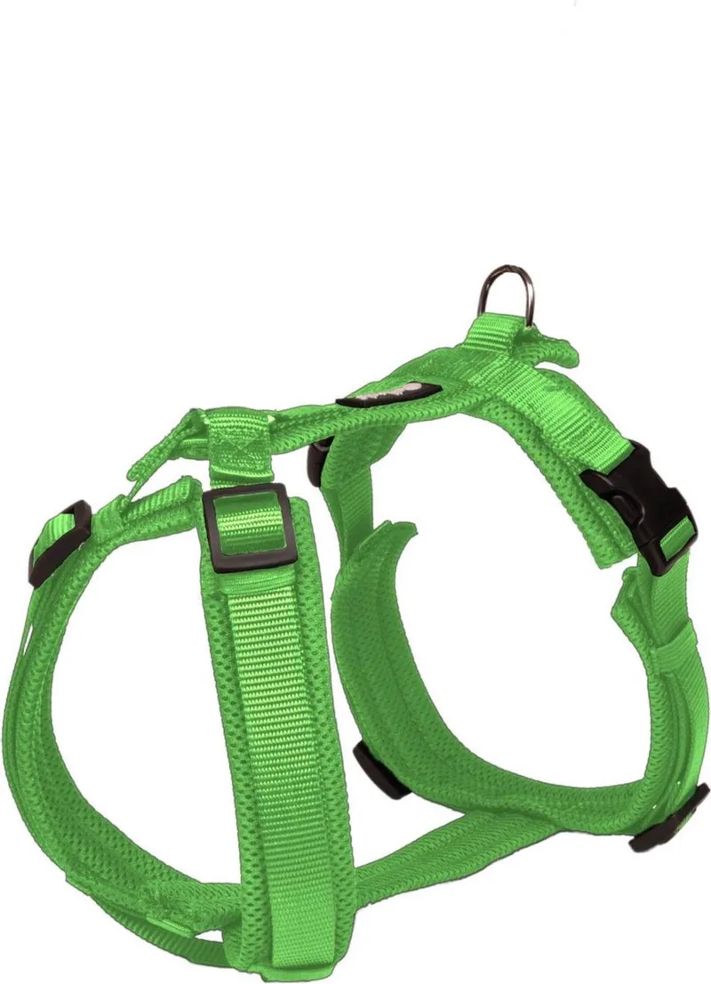 Hondentuig Maat S 44-60 cm Groen by Petlando in Apple – product photo