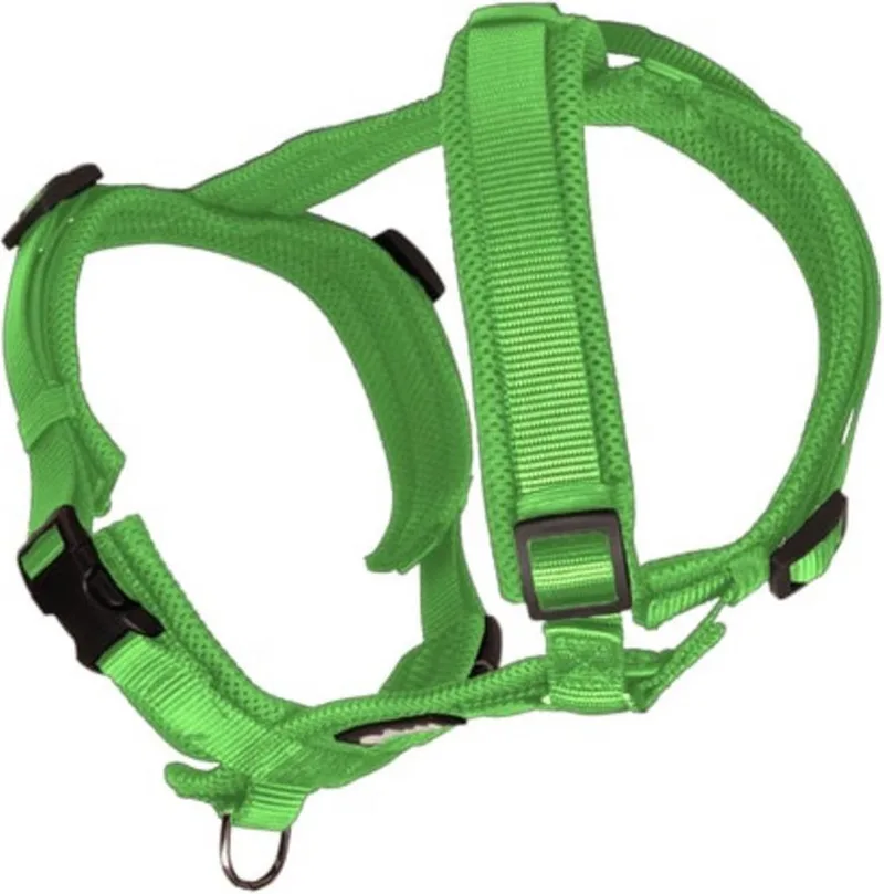 Hondentuig Maat XS 32-50 cm Groen de Petlando en Apple – photo produit