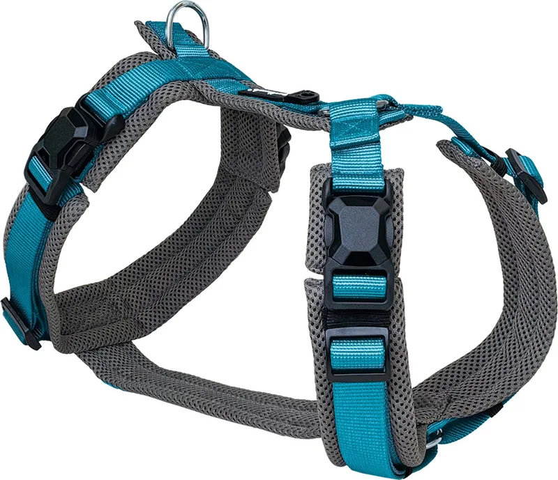 Magnetech Y-Hondentuig Comfort Antraciet/Petrol by Petlando in Anthracite – product photo