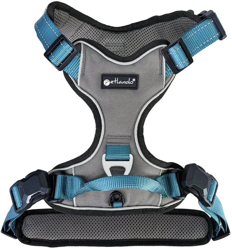 Magnetisch outdoor tuig antraciet/petrol S de Petlando en Petrol met grijs – photo produit