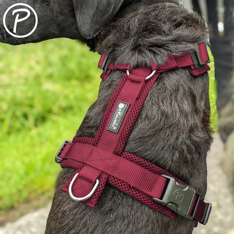 Mesh Y-Harness Comfort by Petlando in Bordeaux – product photo
