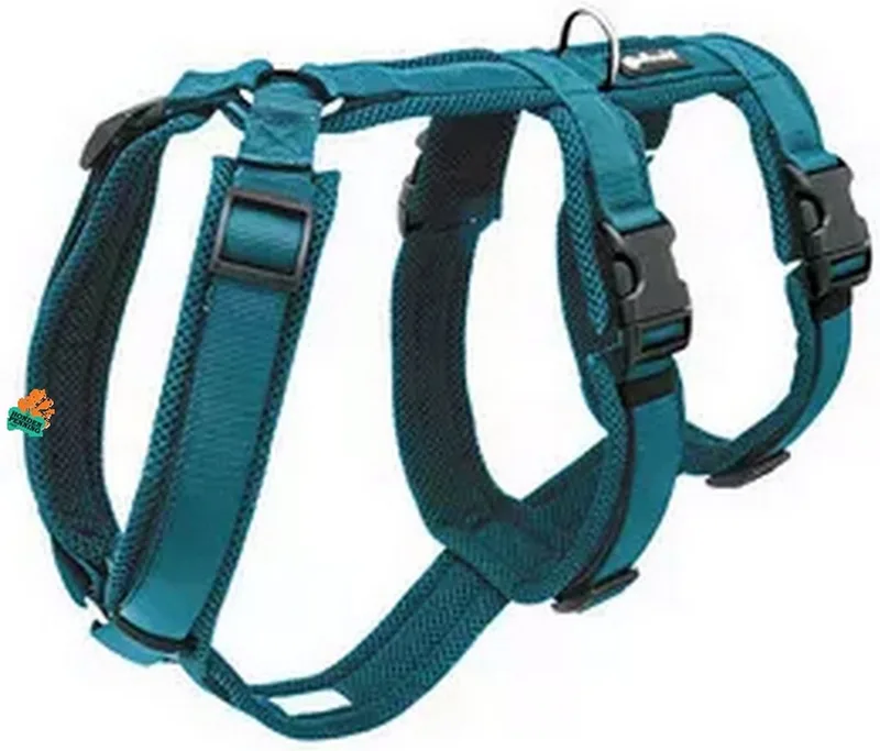 Safety Harness L by Petlando in Petrol – product photo