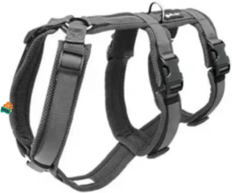 Safety Harness XL Antraciet de Petlando en Anthracite, Gris – photo produit