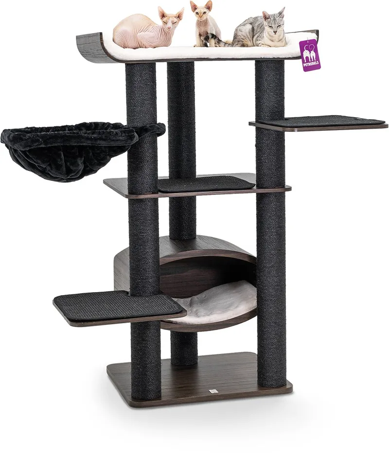 Krabpaal Scorpius 150 by Petrebels in Wengé – product photo