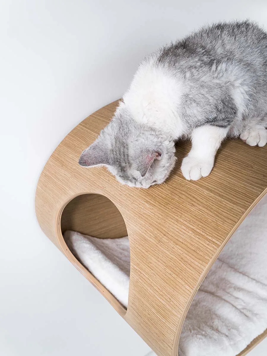 Wandmeubel wandmontage Klimmuur Kat - Kattenmuur Oval Office 60-Rusty Oak - 60 x 40 x 35 cm de Petrebels en Rusty Oak – photo produit