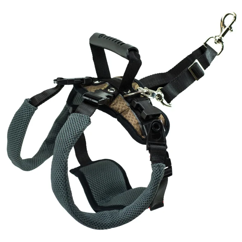 CareLift Hüft-Hebegeschirr für Hunde de PetSafe en Regular – photo produit