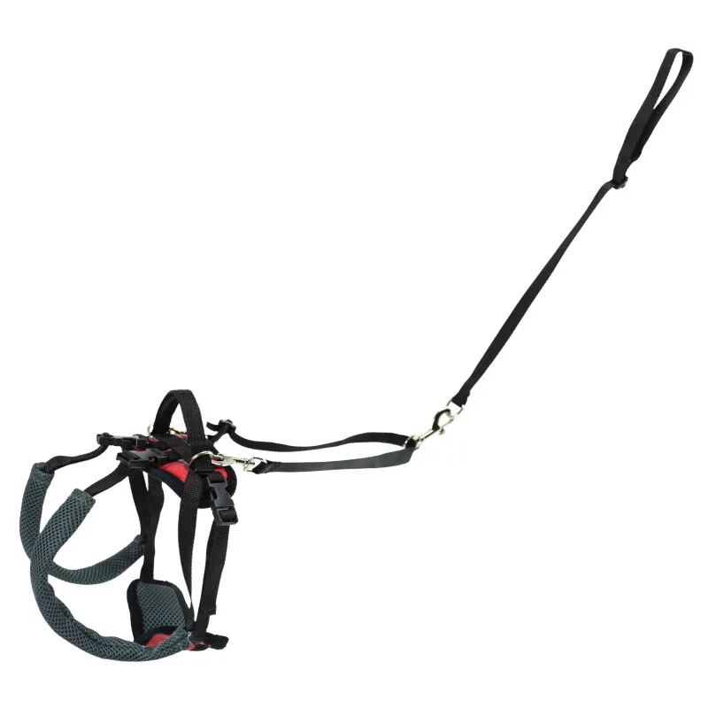 CareLift Hüft-Hebegeschirr für Hunde de PetSafe en Regular – photo produit
