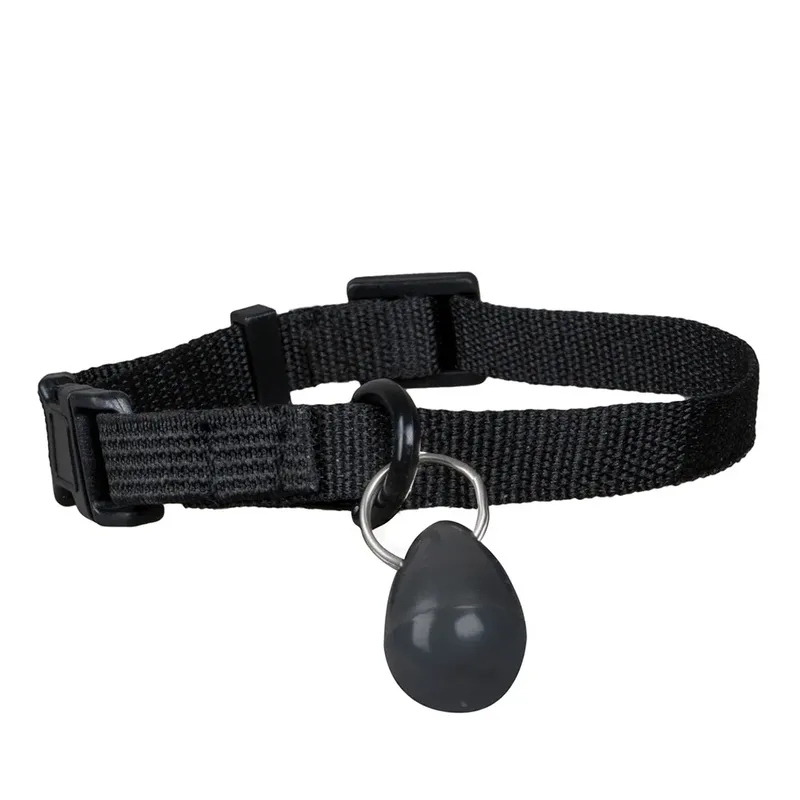 Clé Magnétique Pour Collier Staywell 400/480 M by PetSafe – product photo