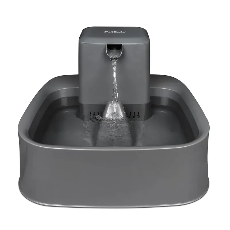 Distributeur D´eau Automatique Pour Chien 7.5l by PetSafe – product photo