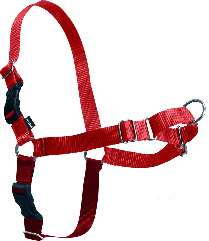 Easy Walk Anti Trek Tuig, De Riem en Harnas voor Trekkende Hond von PetSafe in Rot – Produktfoto