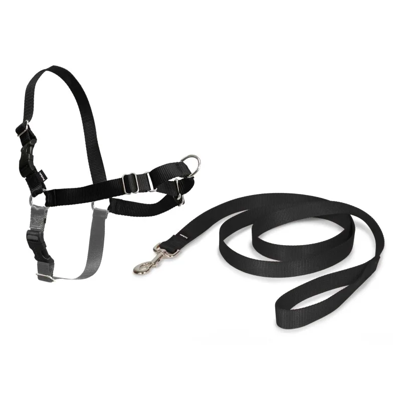 Easy Walk Anti-Zieh-Hundegeschirr L van PetSafe in Zwart, Regular – productfoto