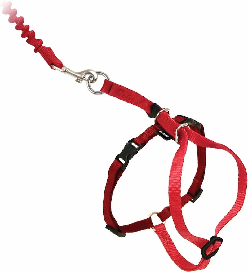 Easy Walk Cat Harness met Bungee Leash - Tuigje voor het uitlaten van je kat - Rood of Blauw - S/M/L - Kleur: Rood, Maat: Large 33-46 cm by PetSafe in Red – product photo