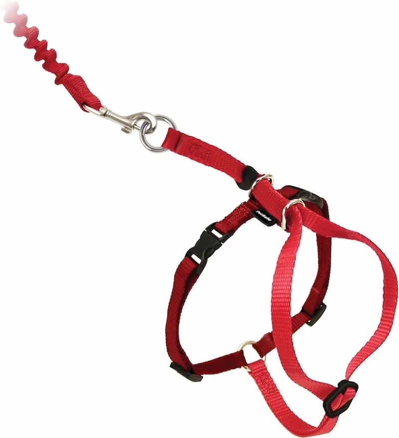 Easy Walk Cat Harness met Bungee Leash - Tuigje voor het uitlaten van je kat - Rood of Blauw - S/M/L - Kleur: Rood, Maat: Medium 27-36 cm by PetSafe in Red – product photo