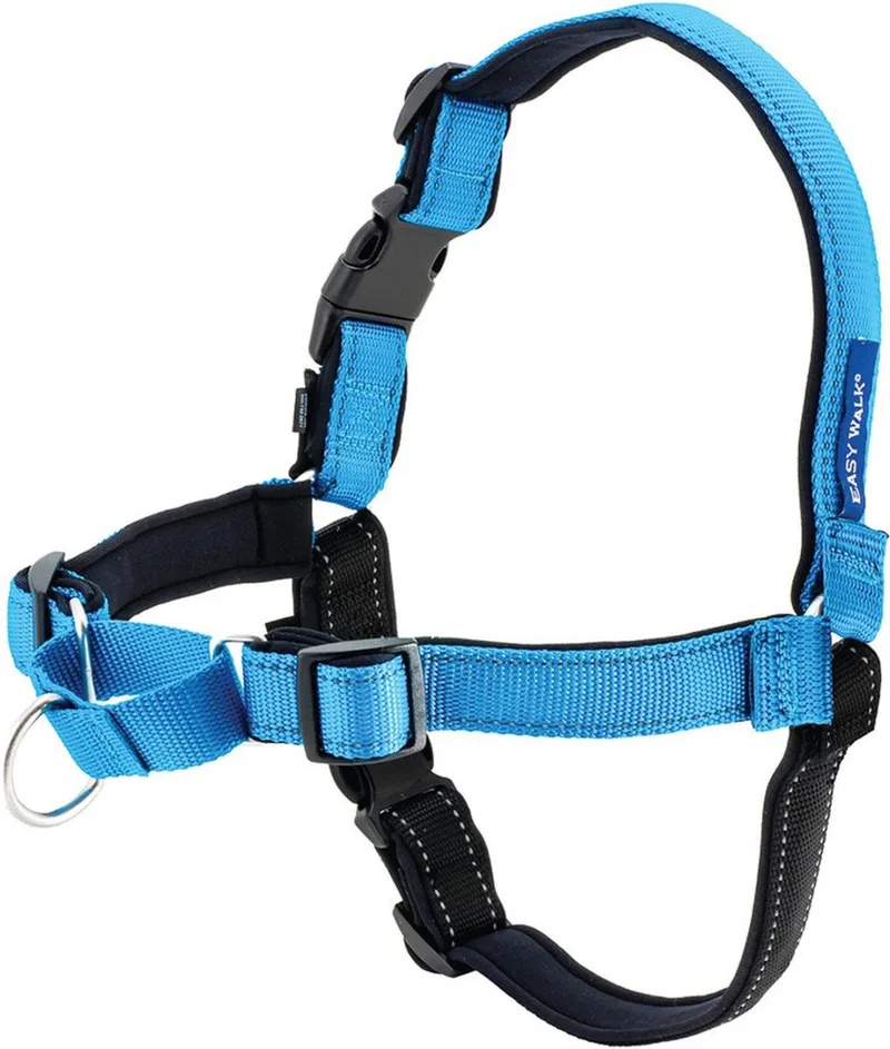 Easy Walk Deluxe Harness - Hondentuigje - M/L von PetSafe in Blau – Produktfoto