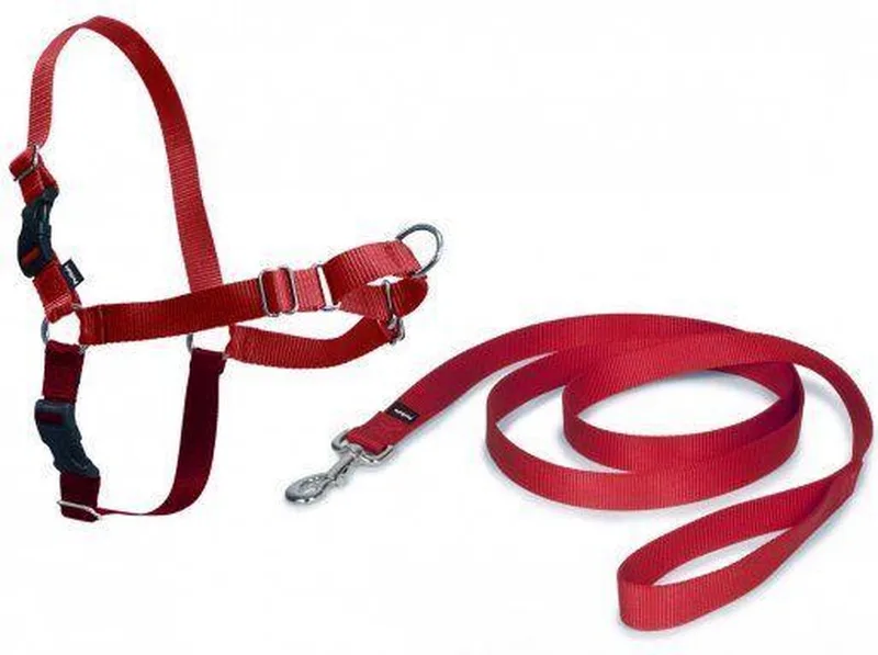 Easy Walk Harnas Large by PetSafe in Red – product photo