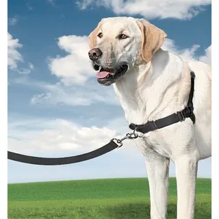 Easy Walk® - Hondentuig - Extra Large/86-117 cm by PetSafe in Black – product photo 2 of 4