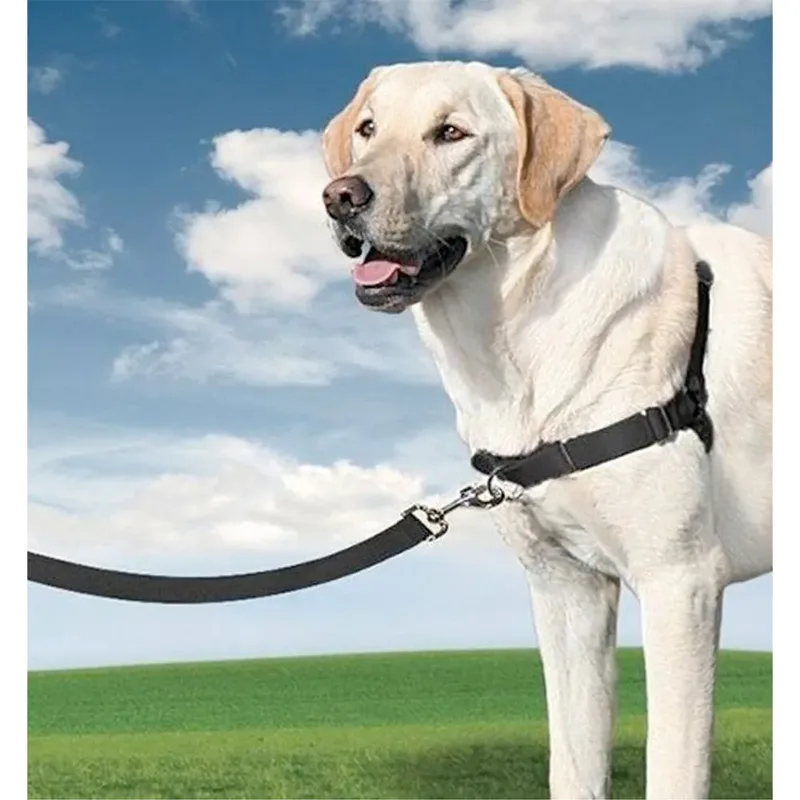 Easy Walk® - Hondentuig - Extra Large/86-117 cm by PetSafe in Black – product photo 2 of 4